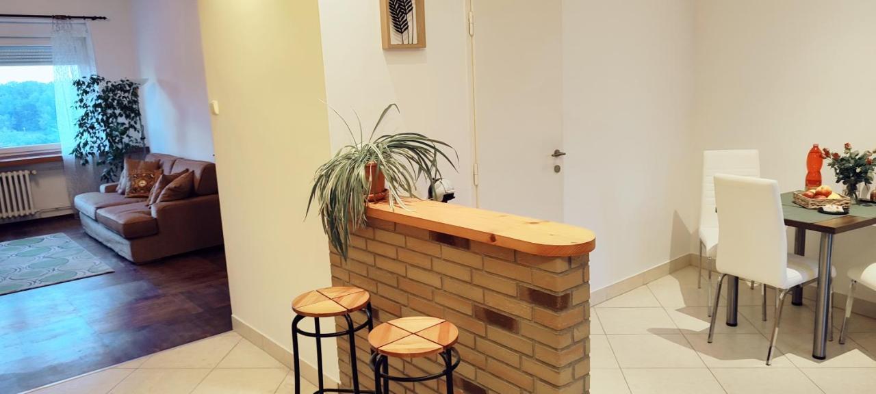 Danube Riverside Apartment With Quite Workplace Bratislava Buitenkant foto